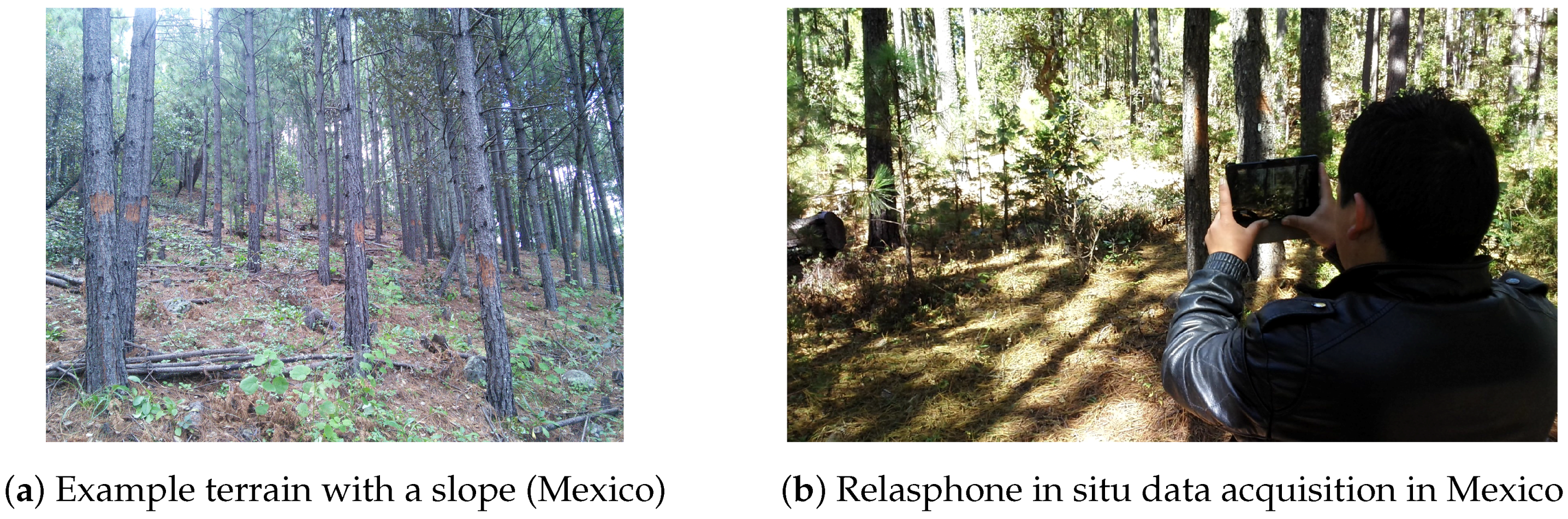 Remotesensing 08 00869 g004