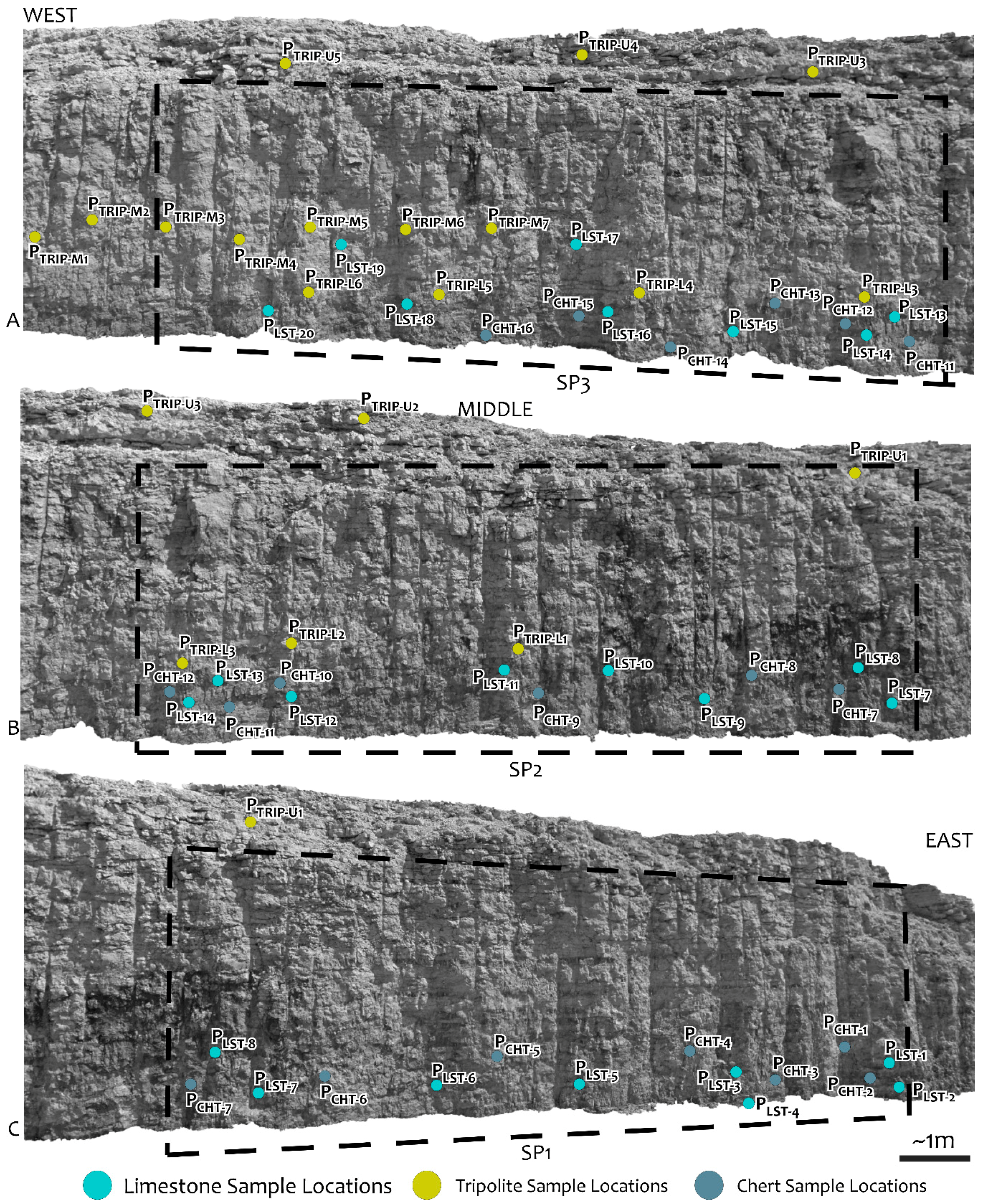 Remotesensing 08 01018 g005