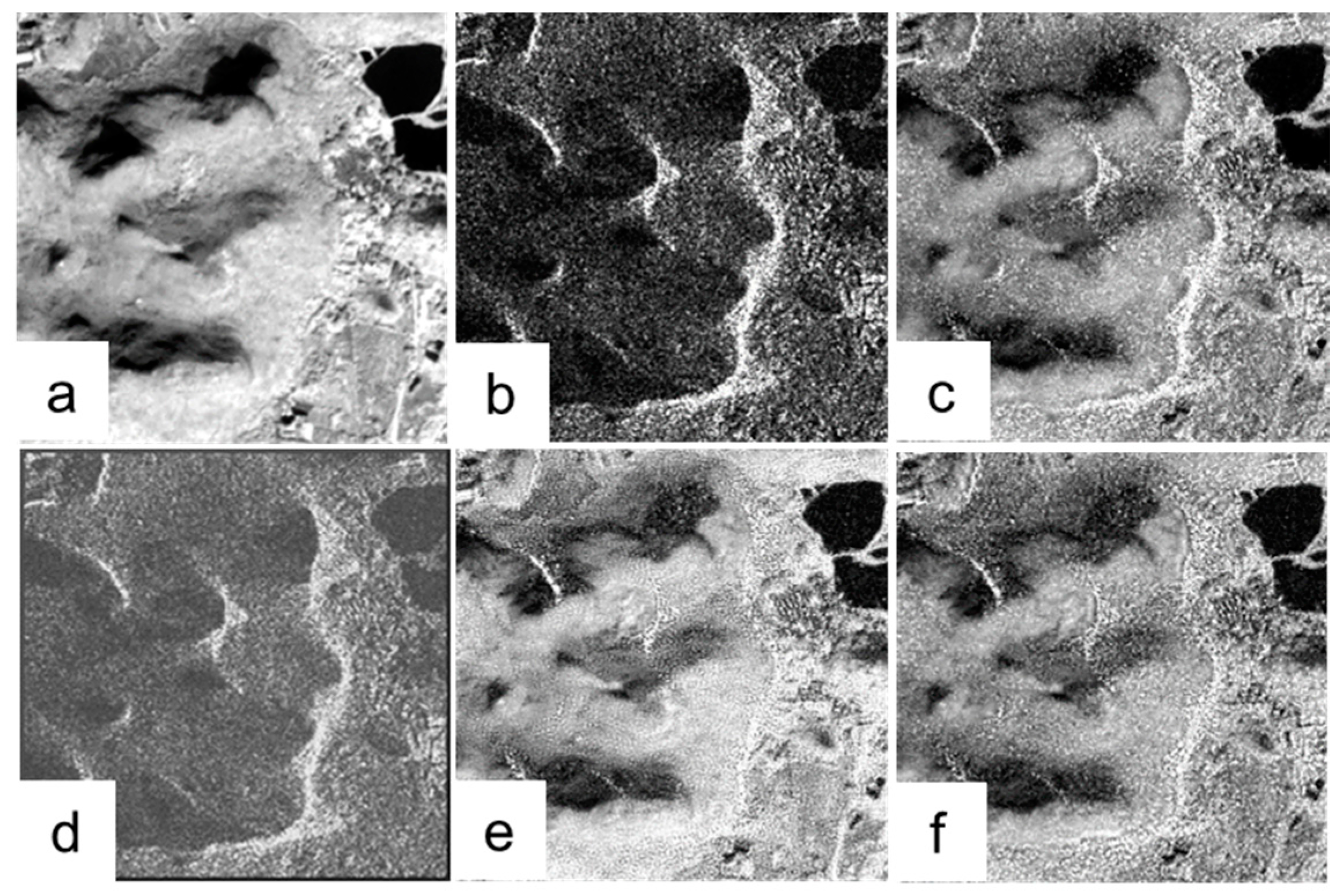 Remotesensing 09 00019 g004