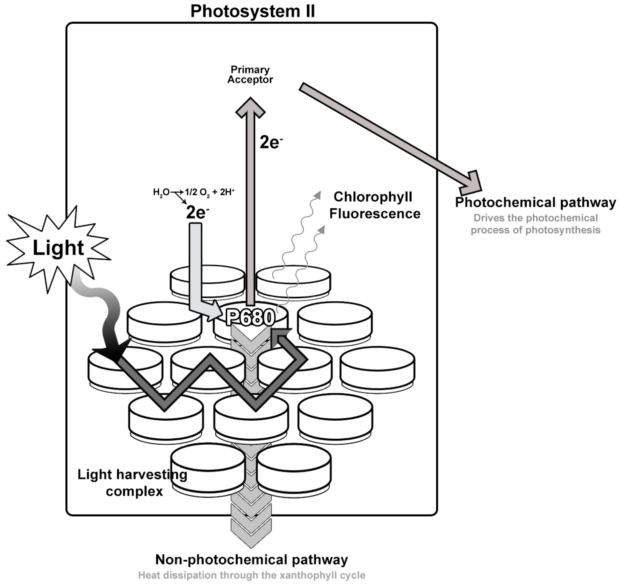 Remotesensing 09 00048 g001