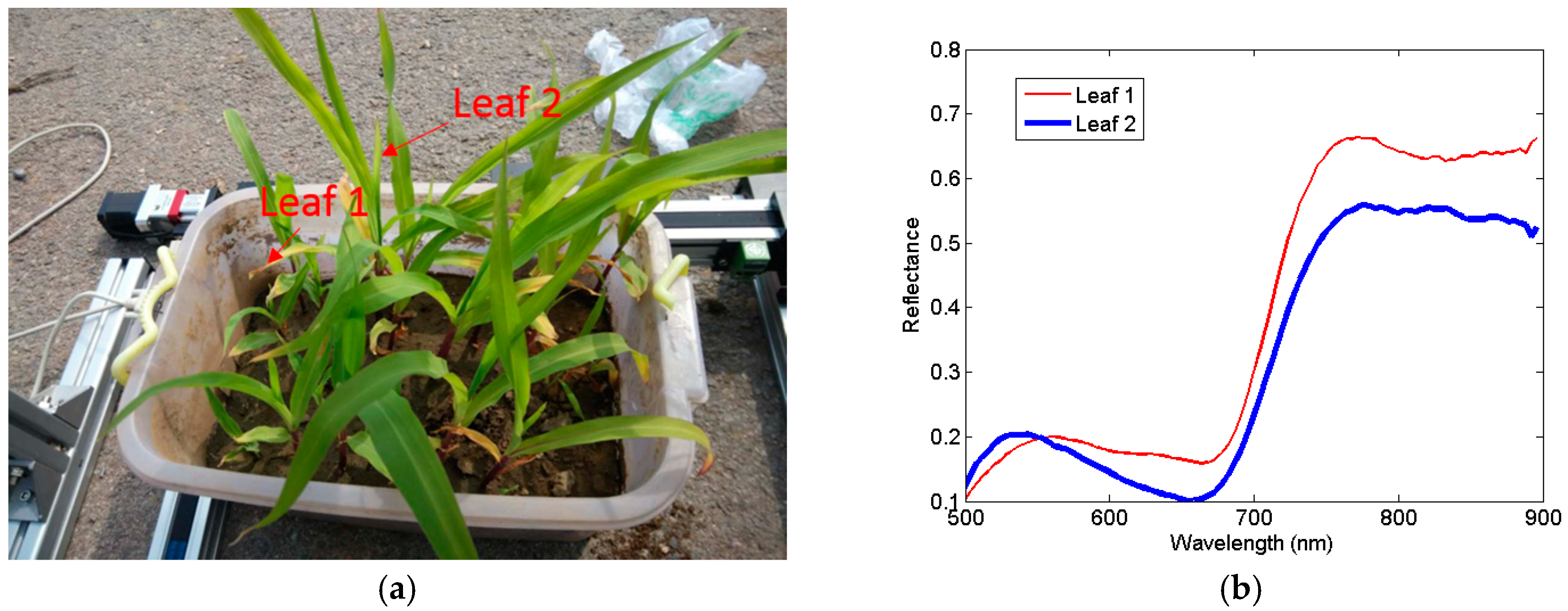 Remotesensing 09 00512 g008
