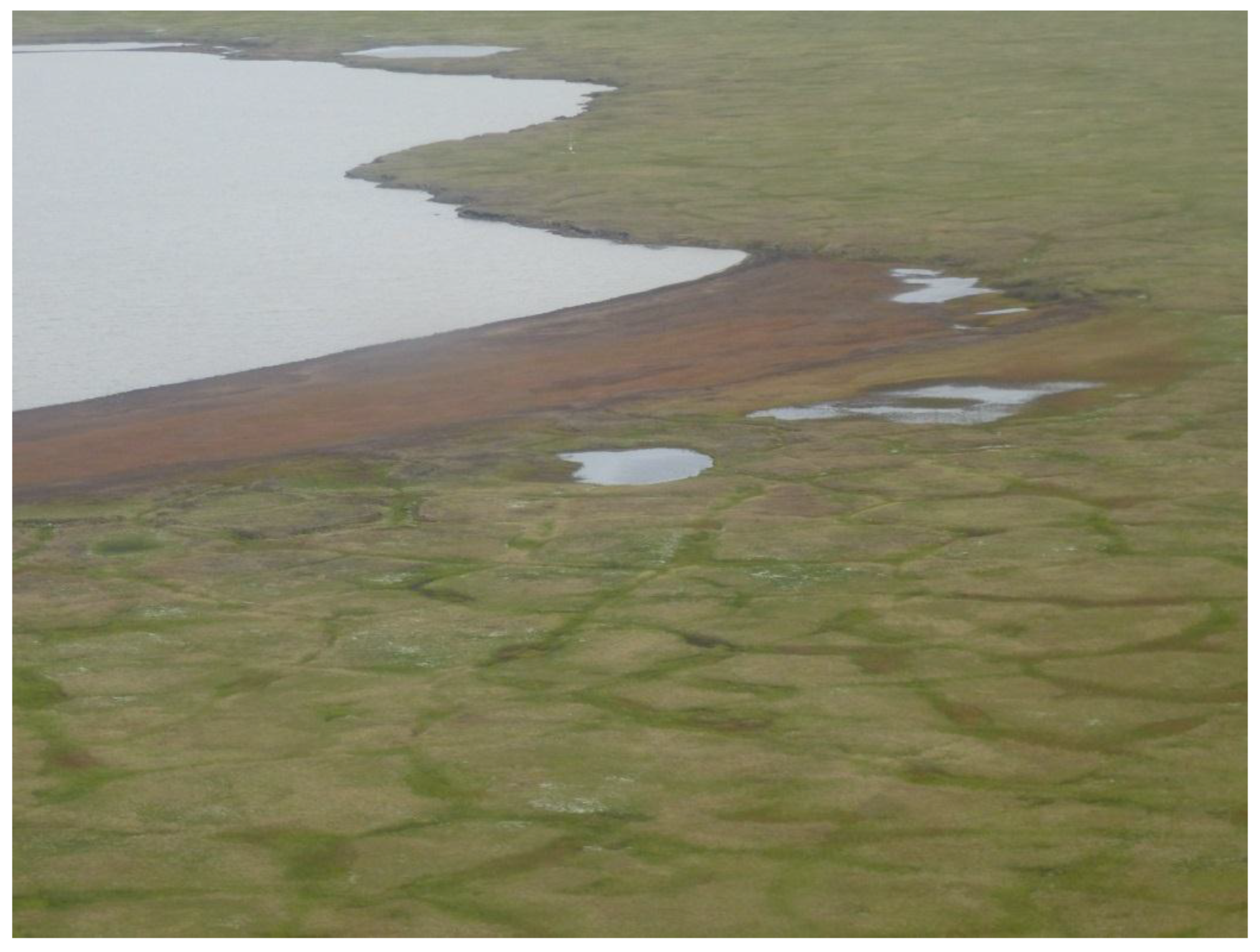 Remotesensing 09 00640 g013
