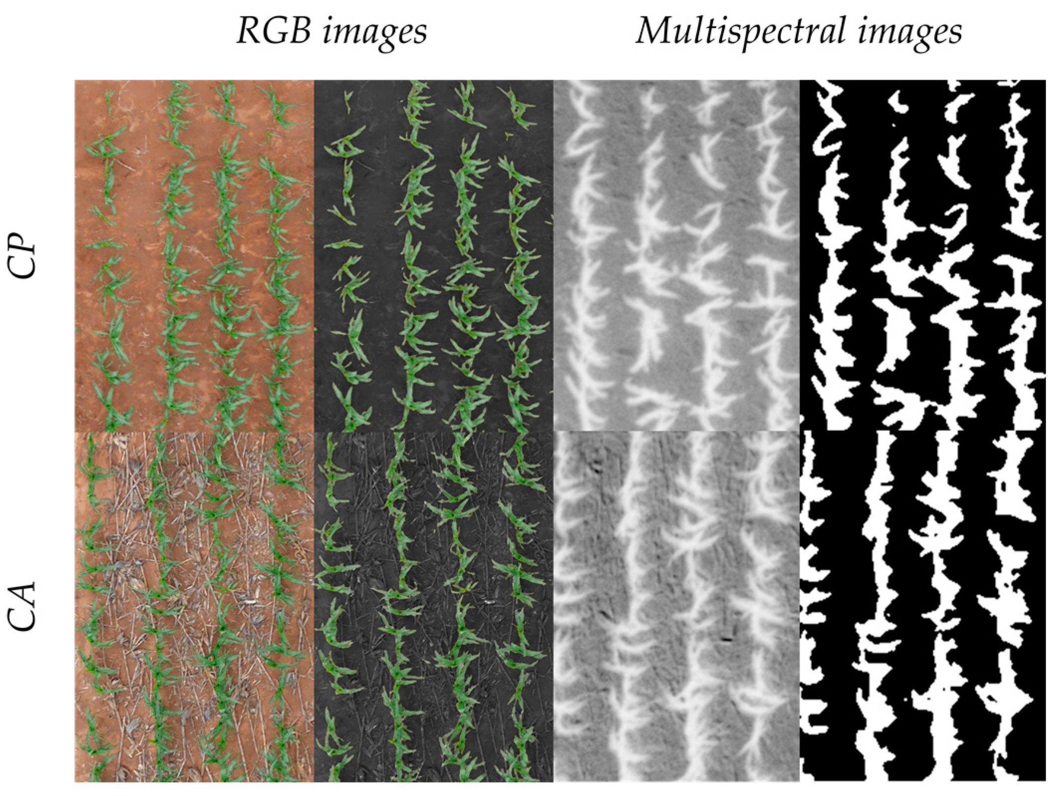 Remotesensing 10 00349 g005