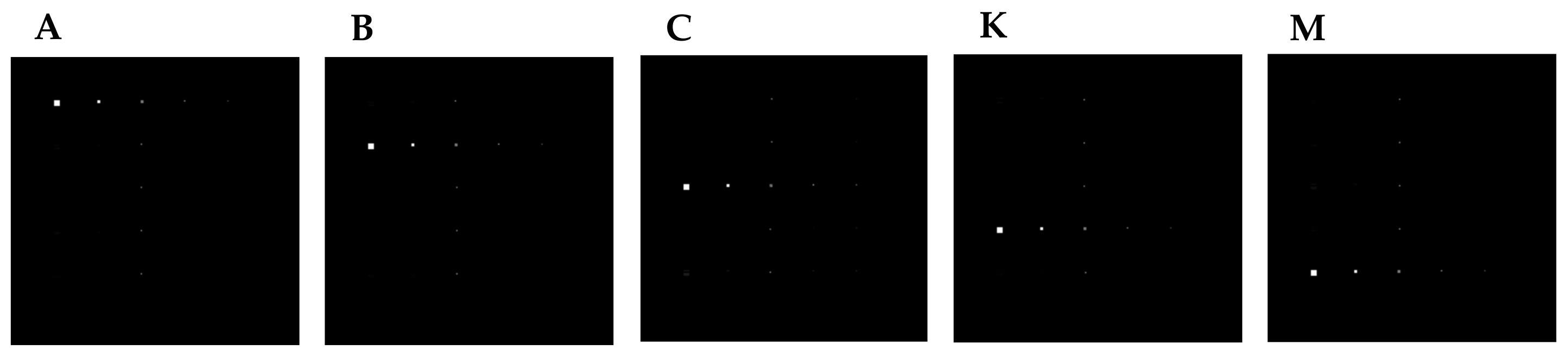 Remotesensing 10 00516 g013