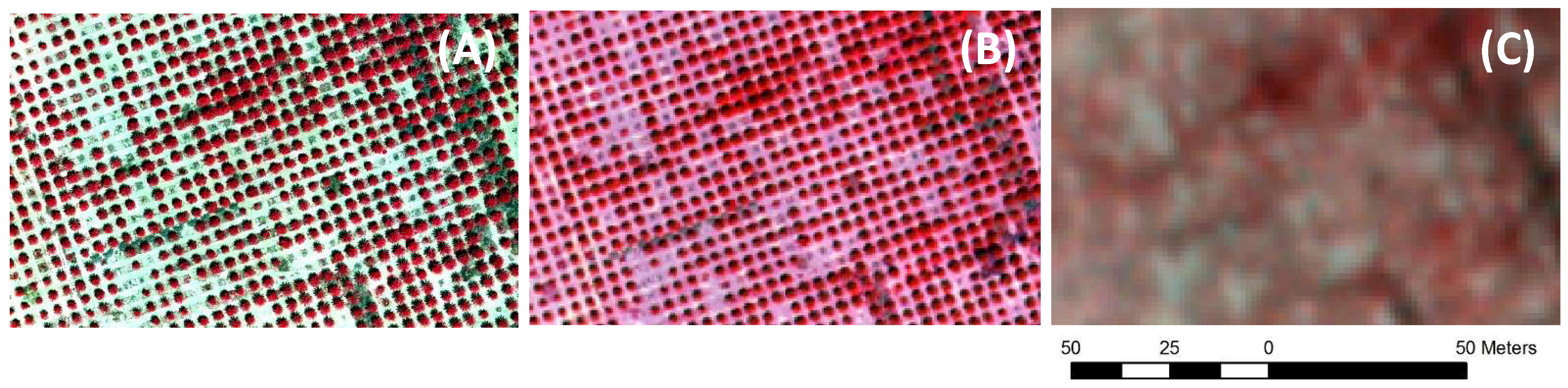 Remotesensing 10 00641 g003 Remotesensing 10 00641 g003