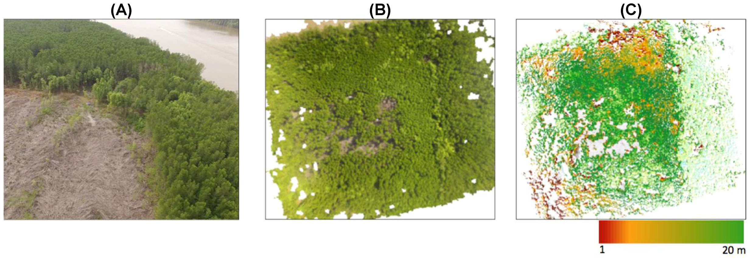 Remotesensing 10 00641 g004 Remotesensing 10 00641 g004