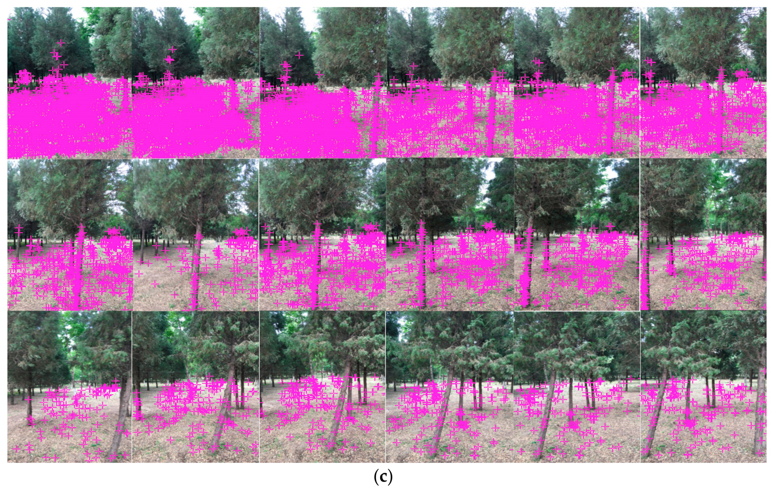 Remotesensing 10 01080 g005b