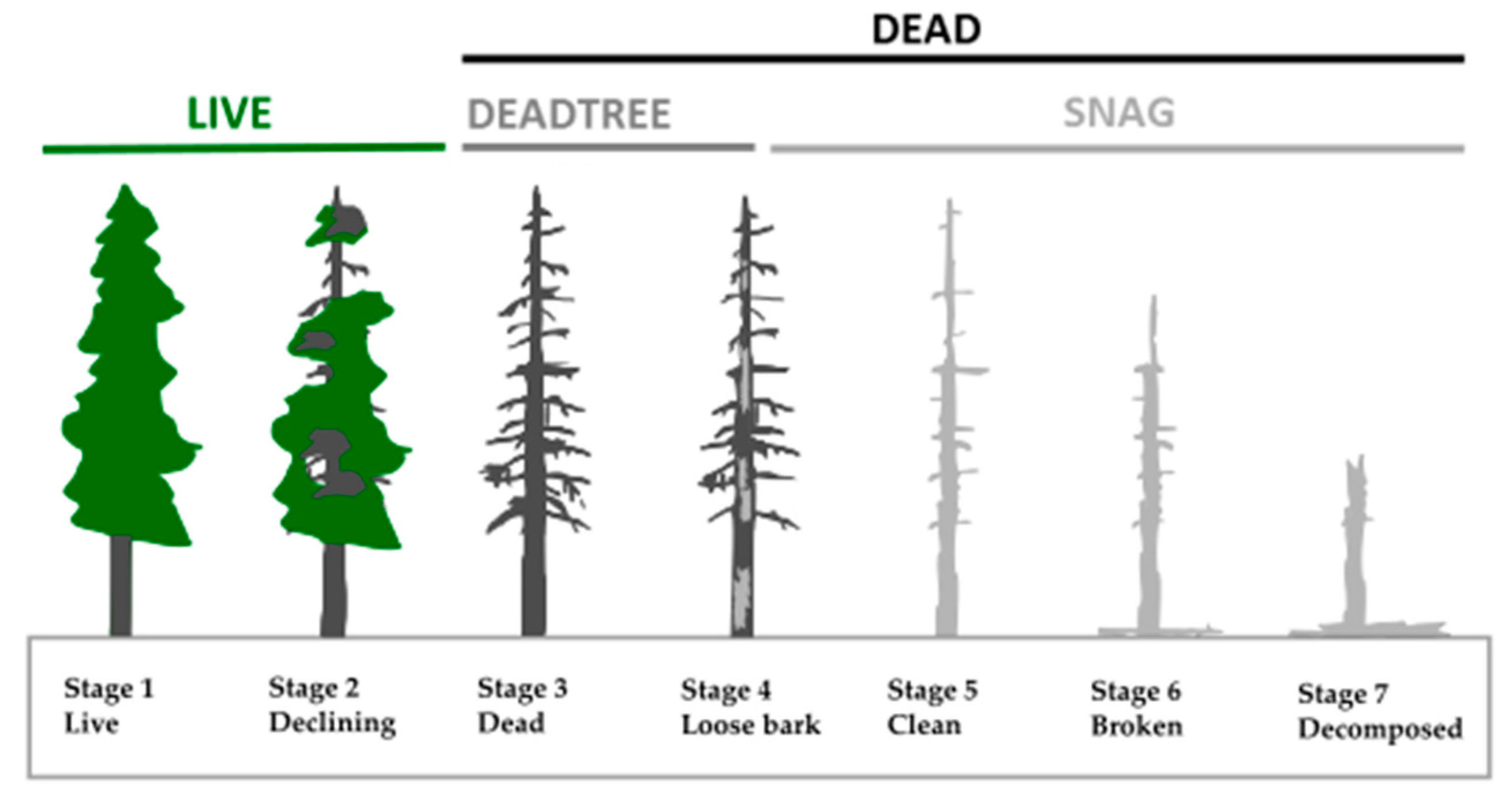 Remotesensing 10 01972 g001