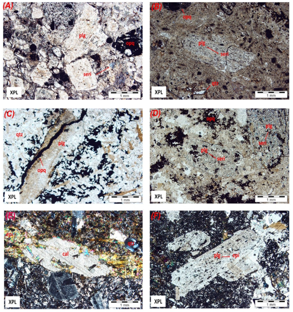 Remotesensing 11 00495 g011