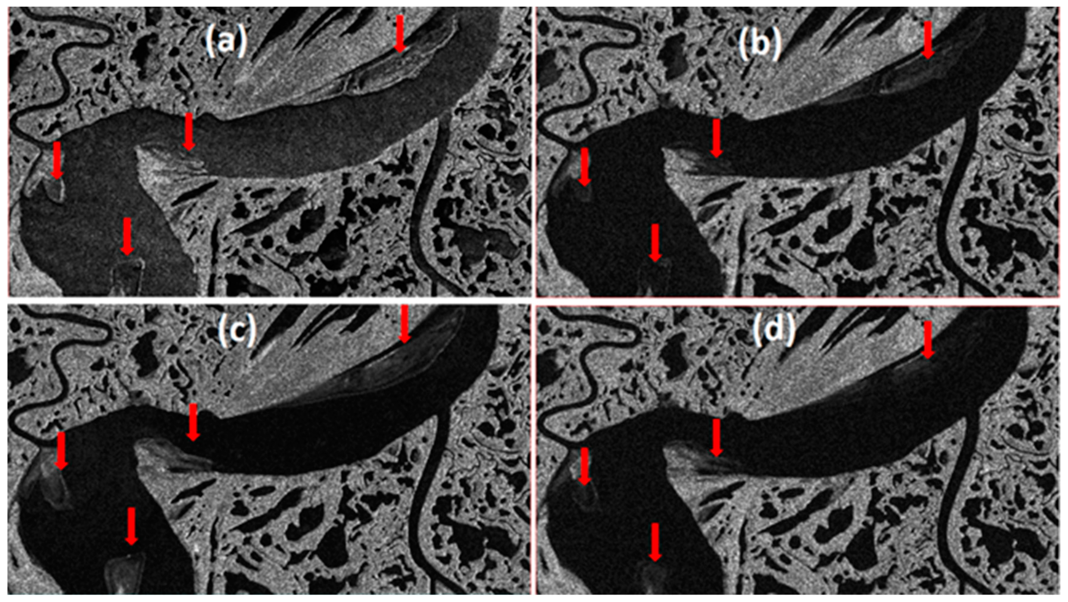 Remotesensing 11 01523 g006 Remotesensing 11 01523 g006