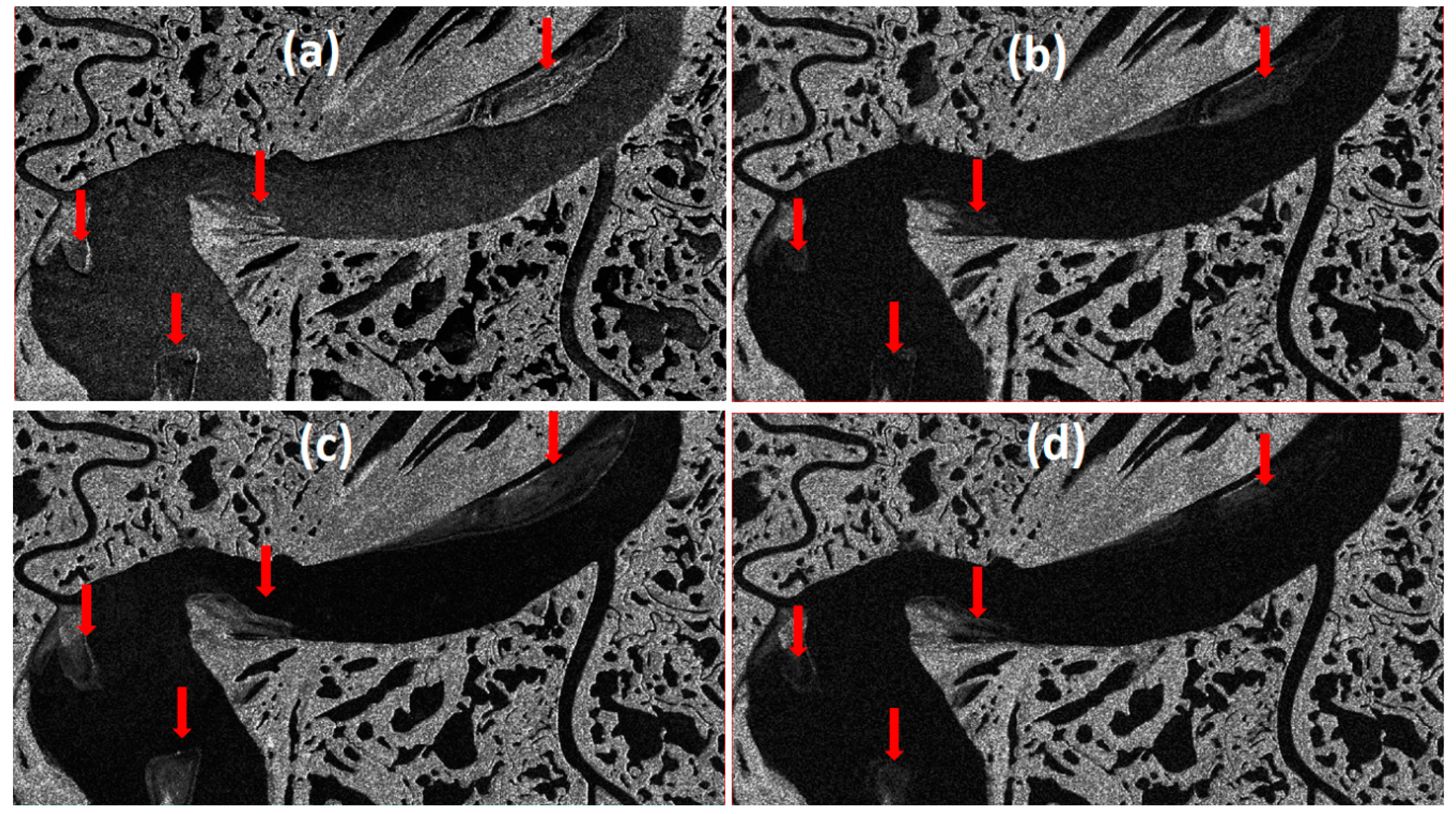 Remotesensing 11 01523 g008 Remotesensing 11 01523 g008