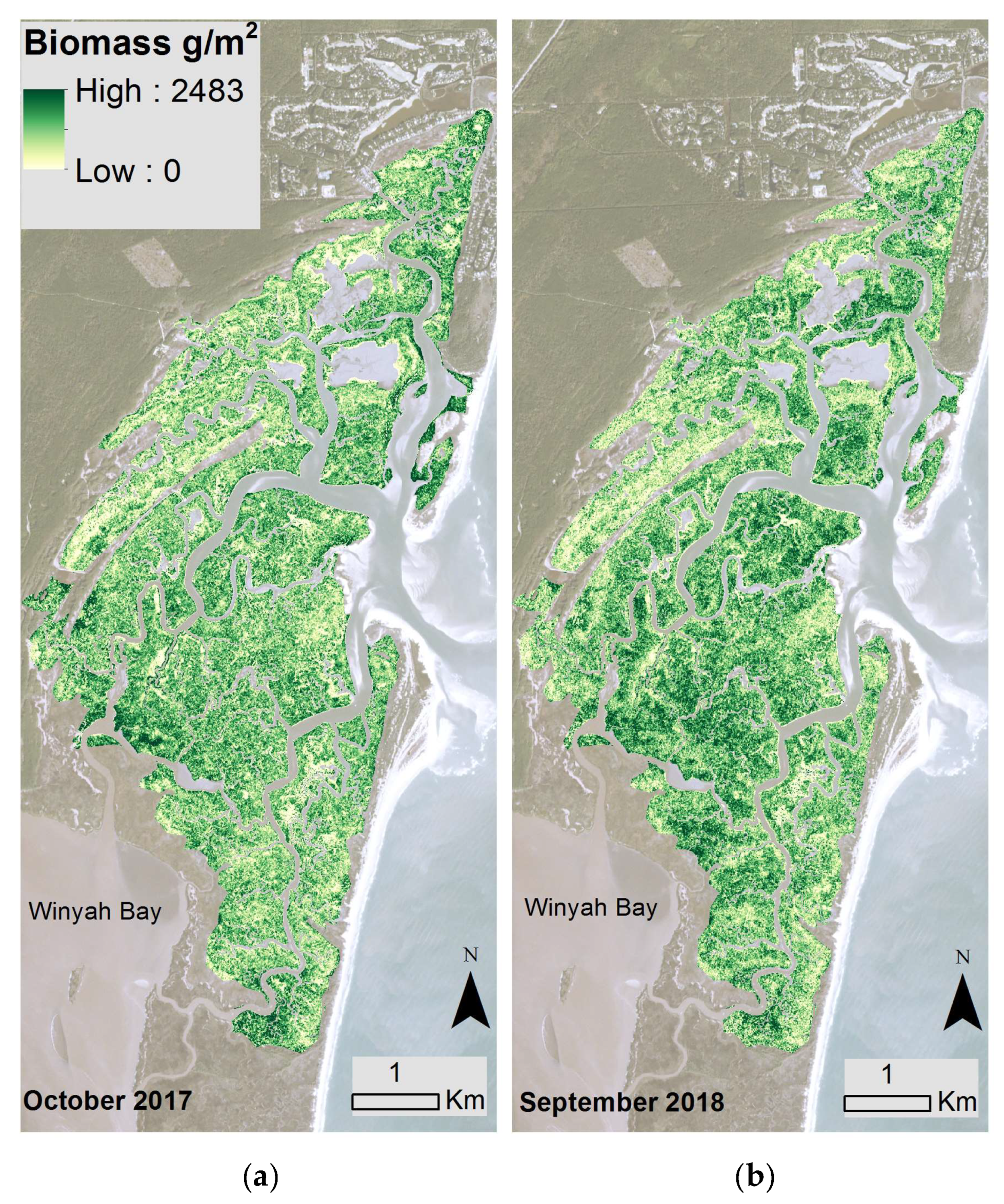 Remotesensing 11 02020 g003