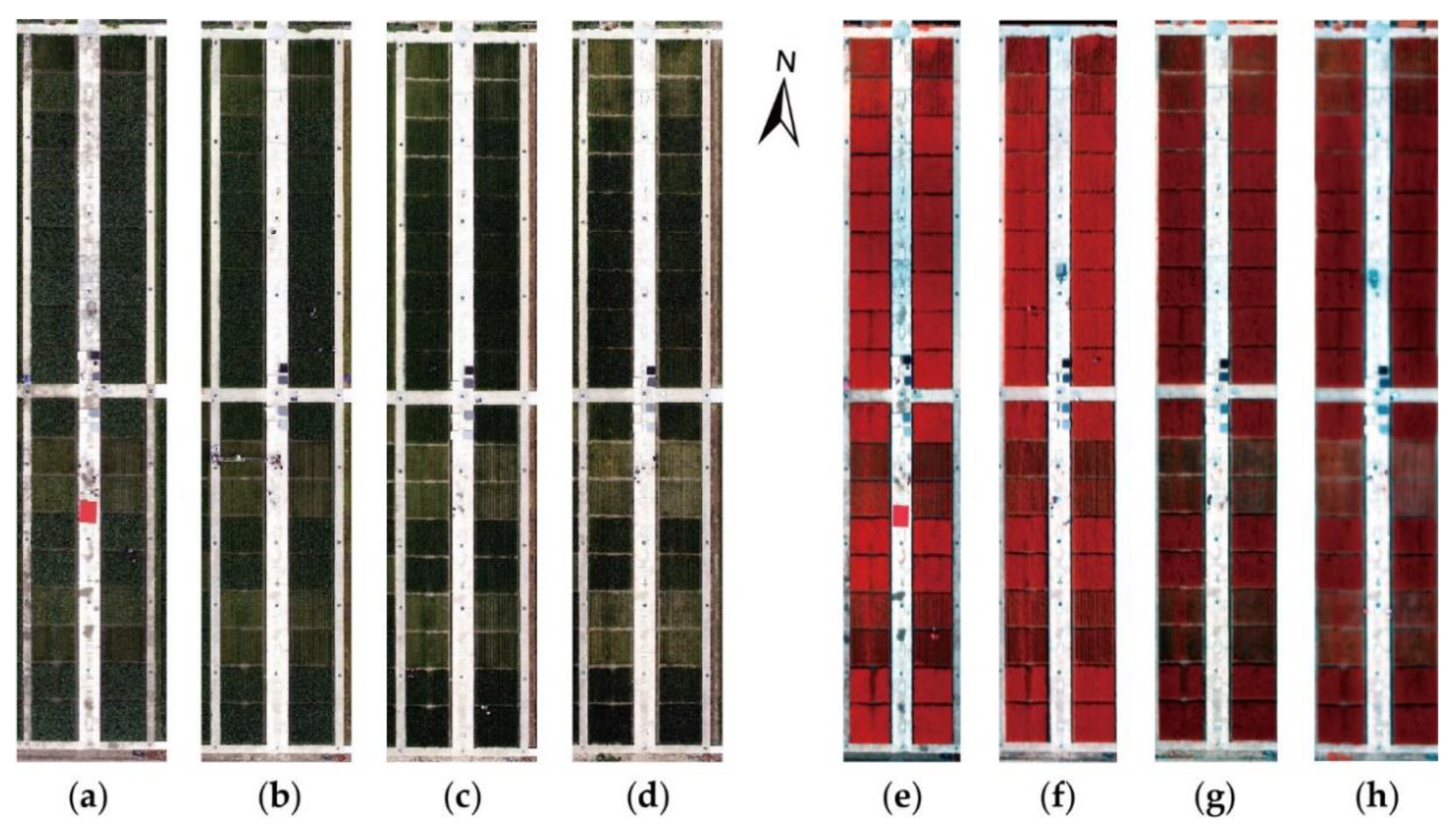 Remotesensing 11 02667 g003 Remotesensing 11 02667 g003