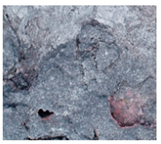 Remotesensing 12 01970 i001