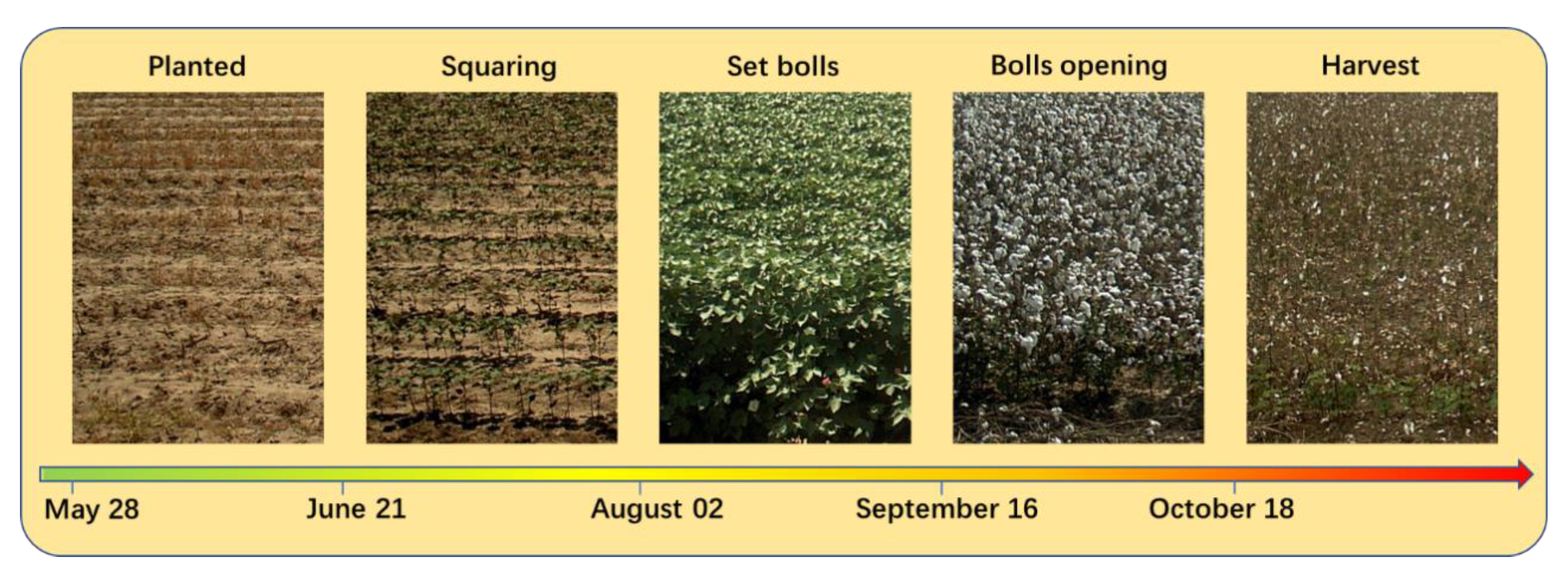 Remotesensing 13 01355 g003