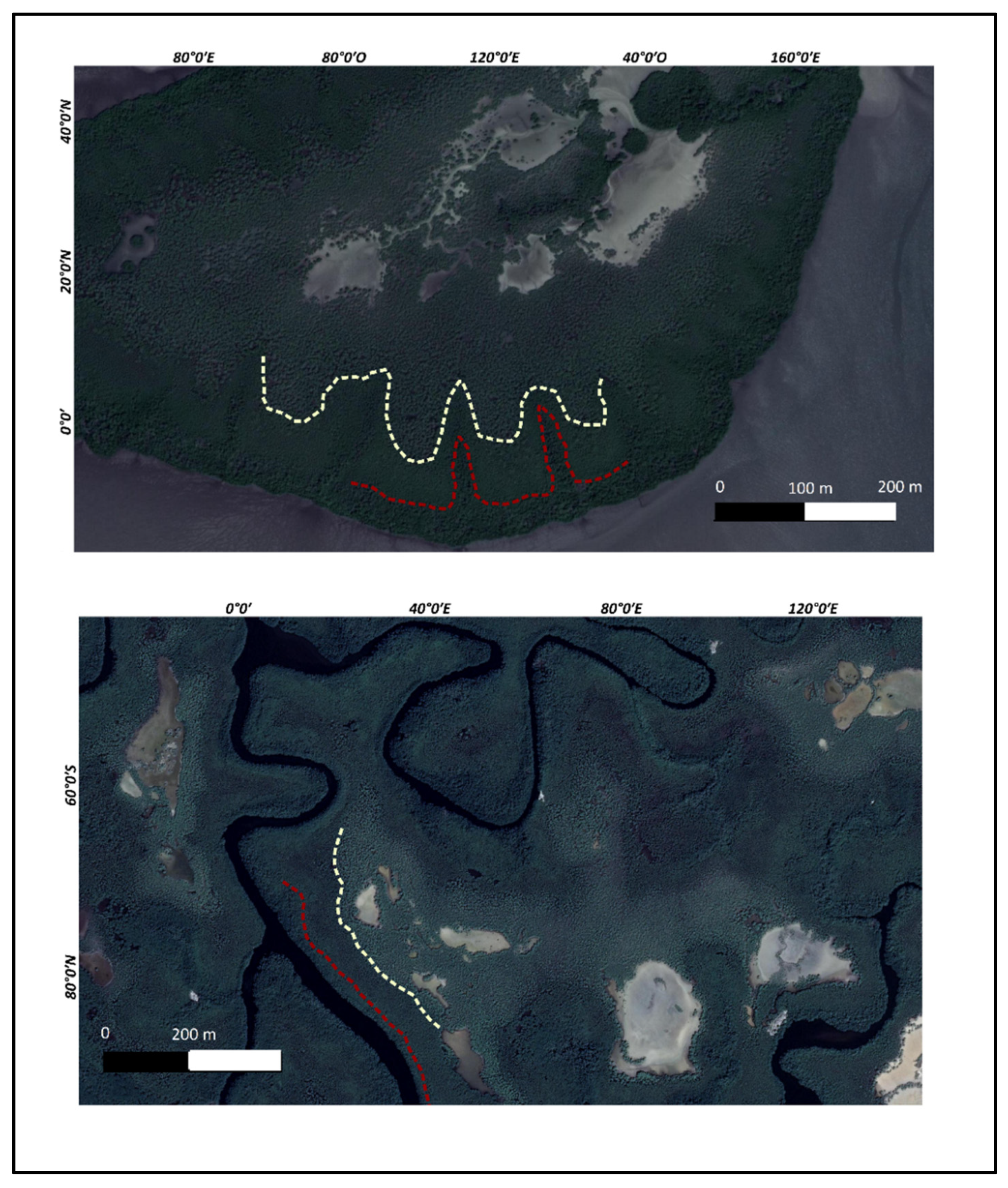 Remotesensing 13 01961 g003