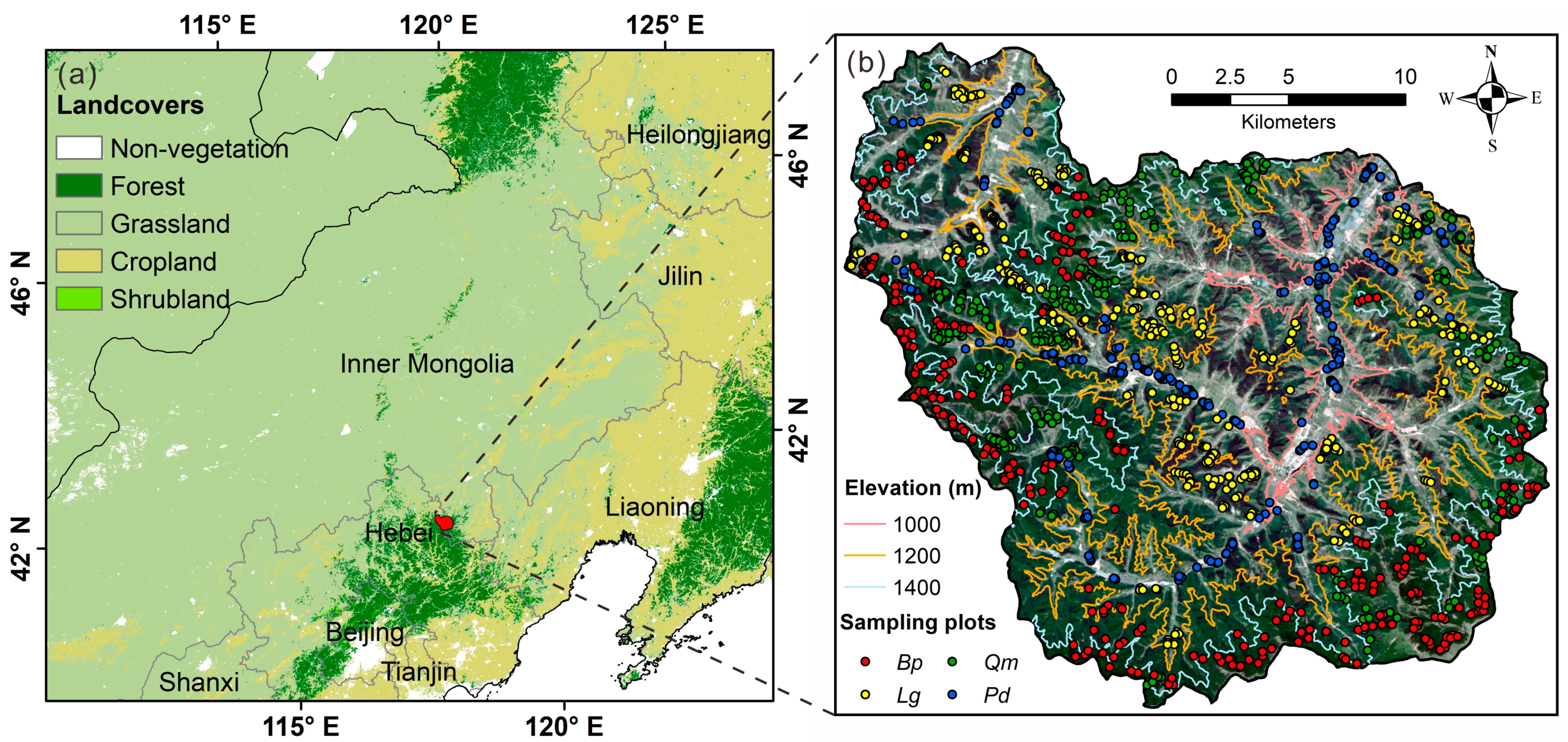 Remotesensing 13 02716 g001