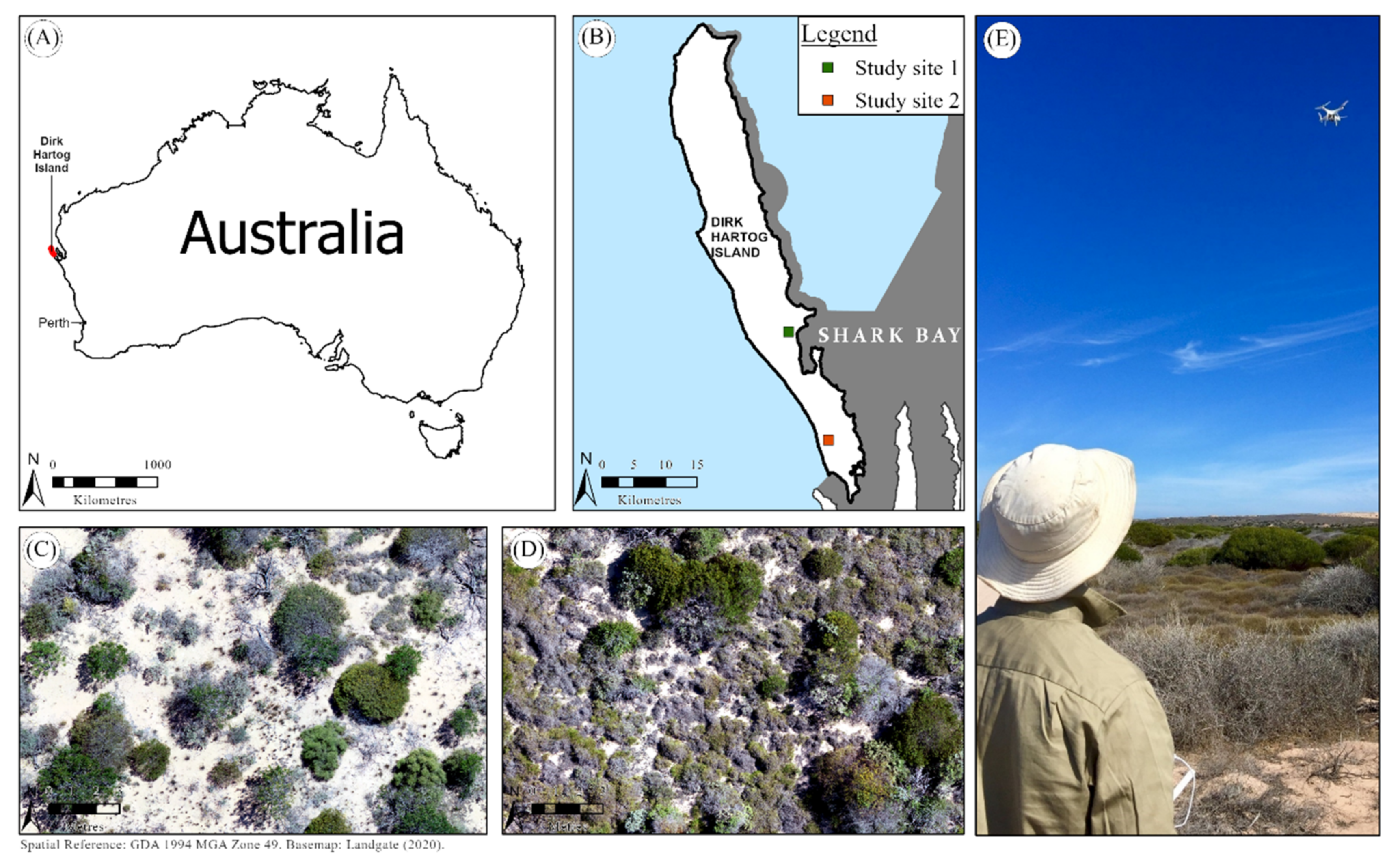 Remotesensing 14 01402 g001