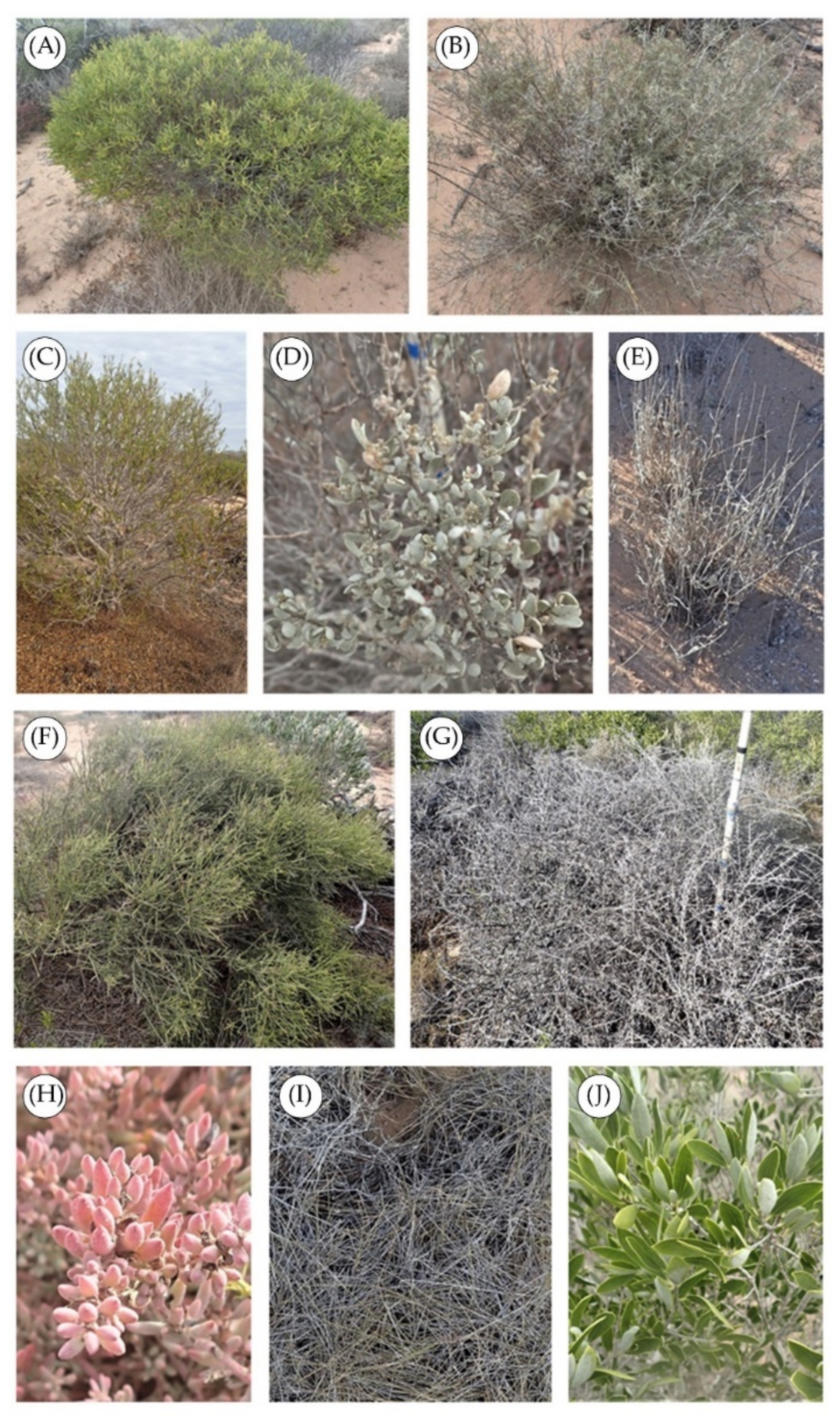 Remotesensing 14 01402 g002