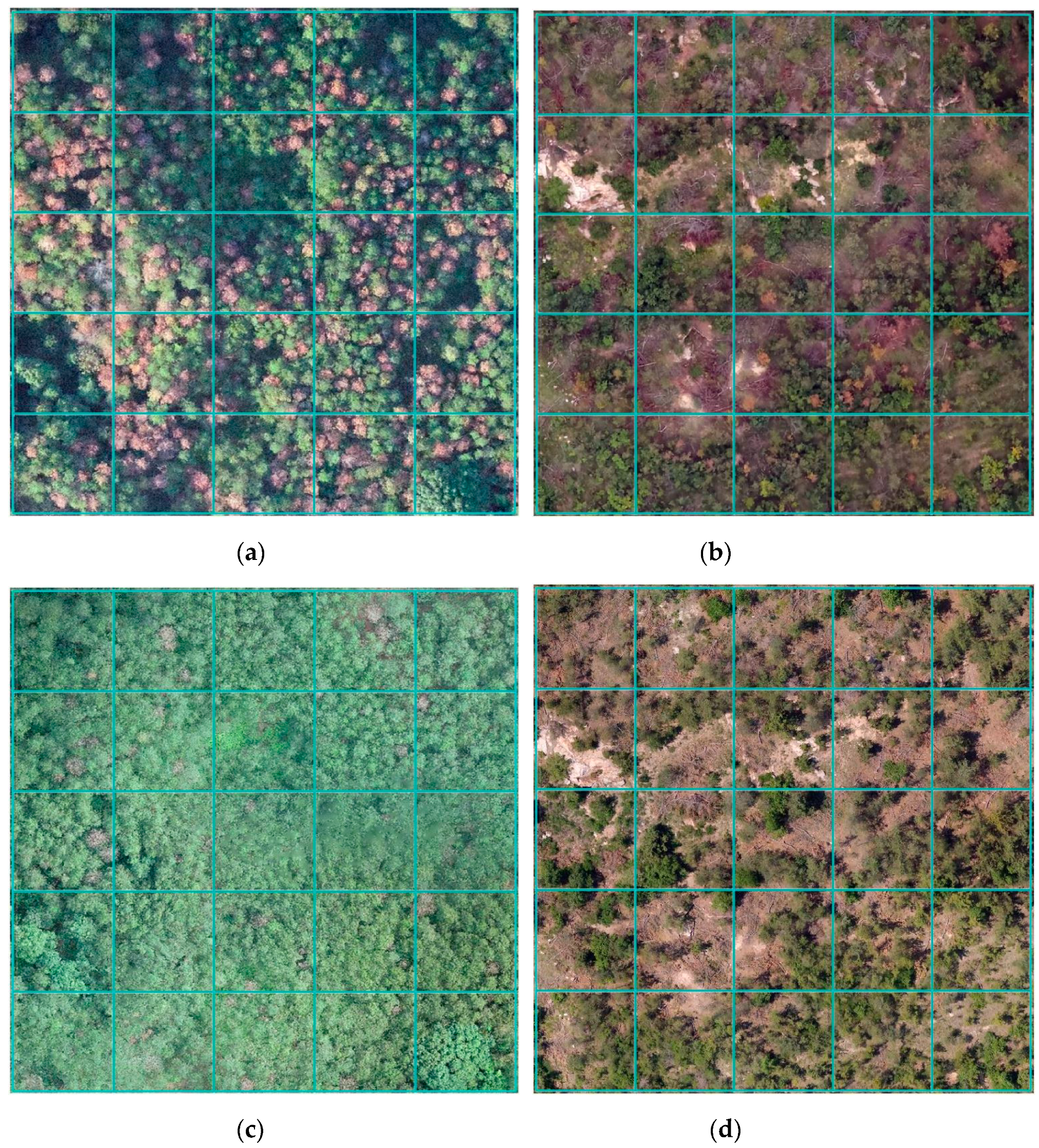 Remotesensing 14 01526 g004