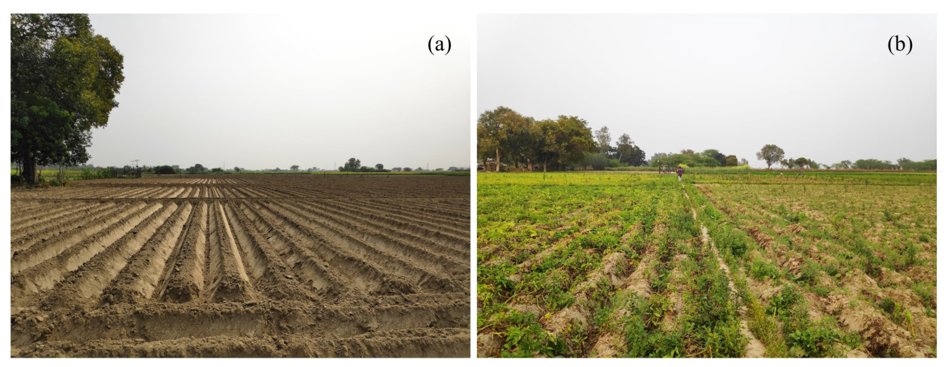 Remotesensing 14 01629 g014