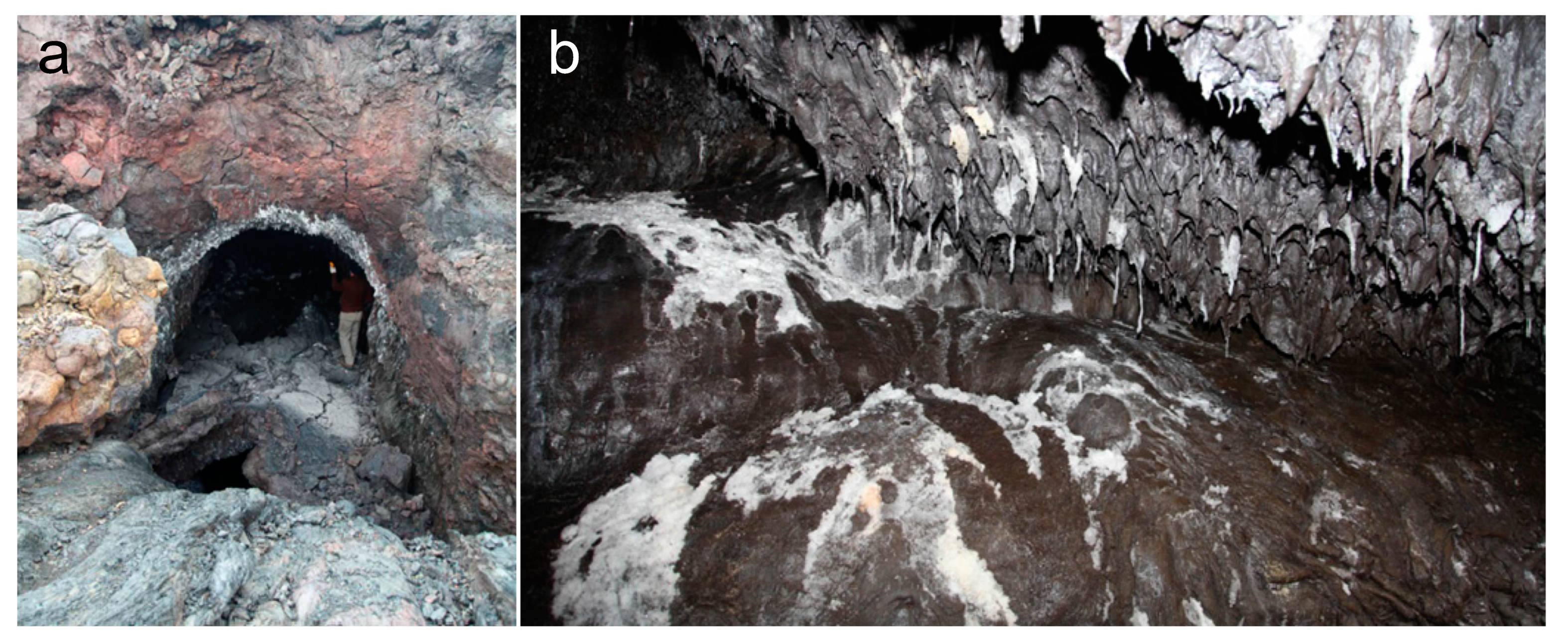 Remotesensing 15 02850 g001