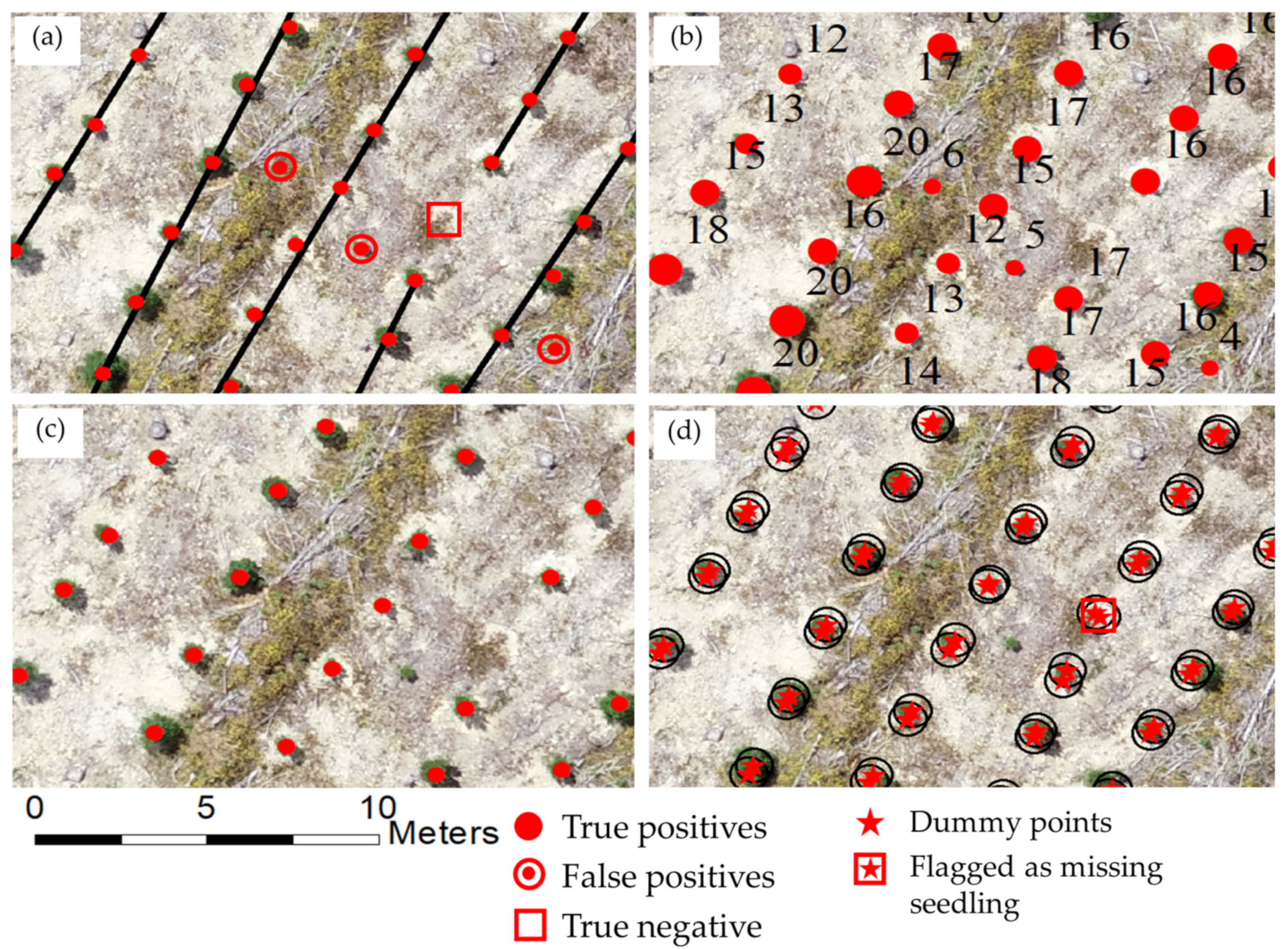 Remotesensing 15 05276 g005