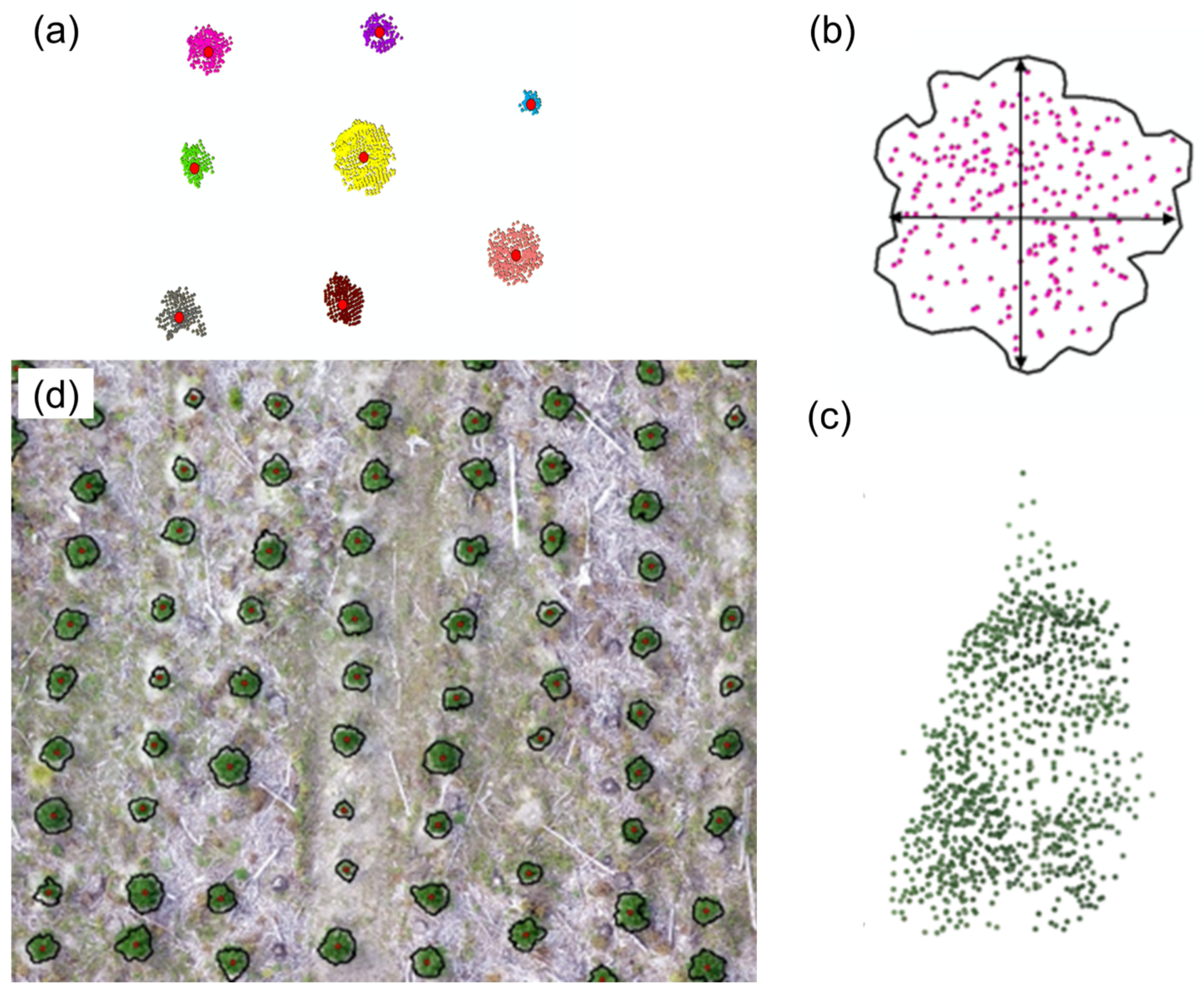 Remotesensing 15 05276 g006