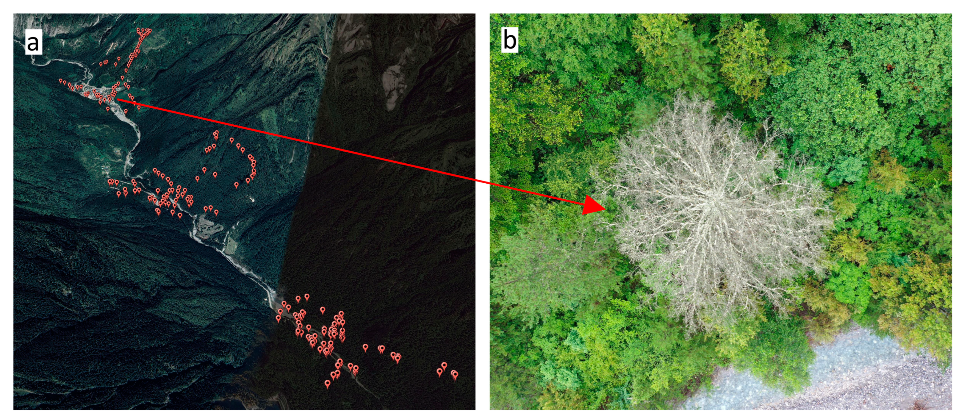 Remotesensing 15 05516 g003