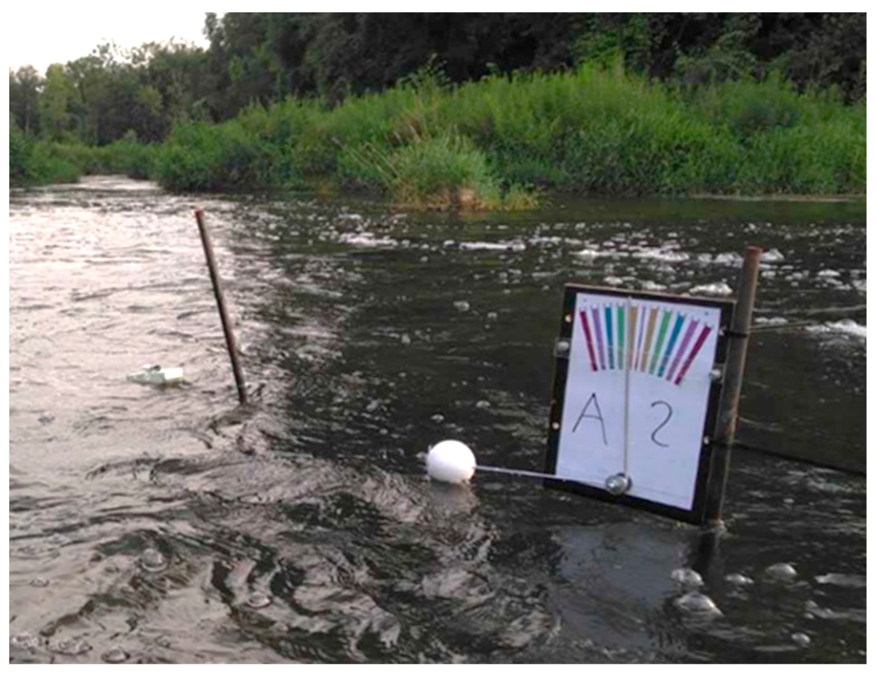 Remotesensing 16 01674 g003