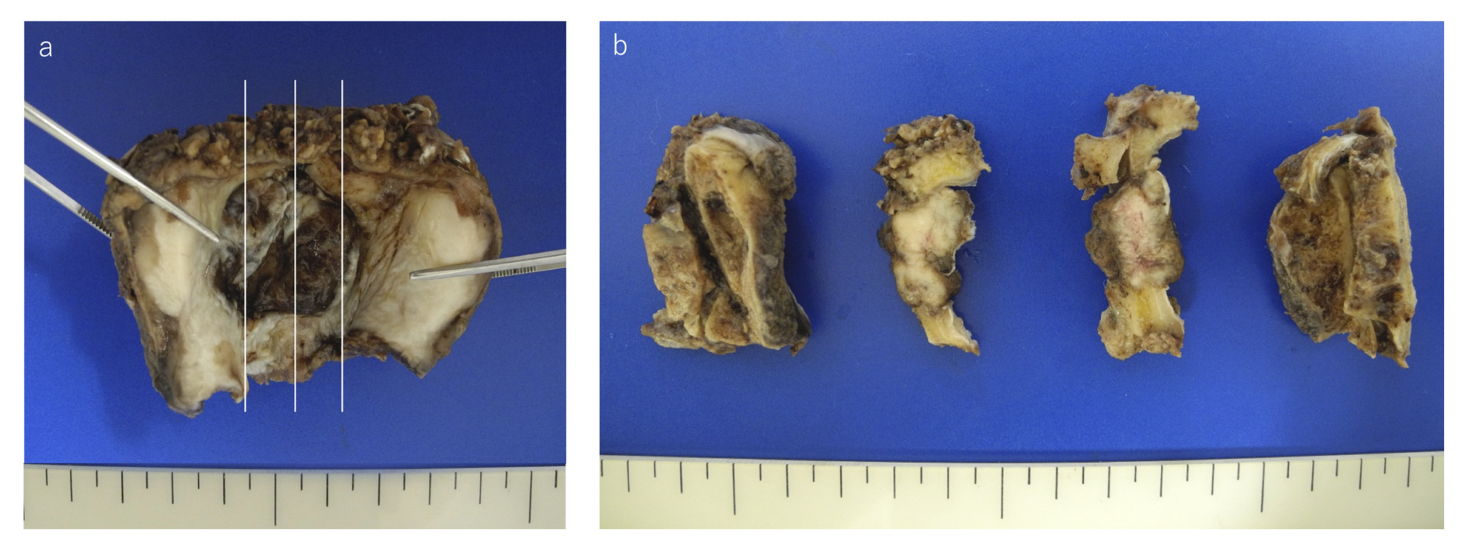 Reports 03 00006 g001 Reports 03 00006 g001