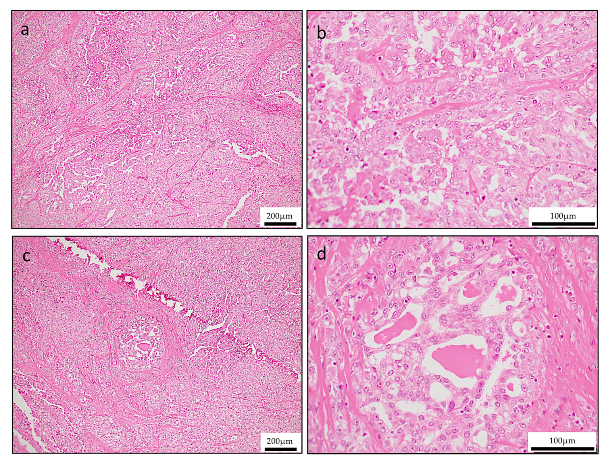 Reports 03 00006 g002 Reports 03 00006 g002