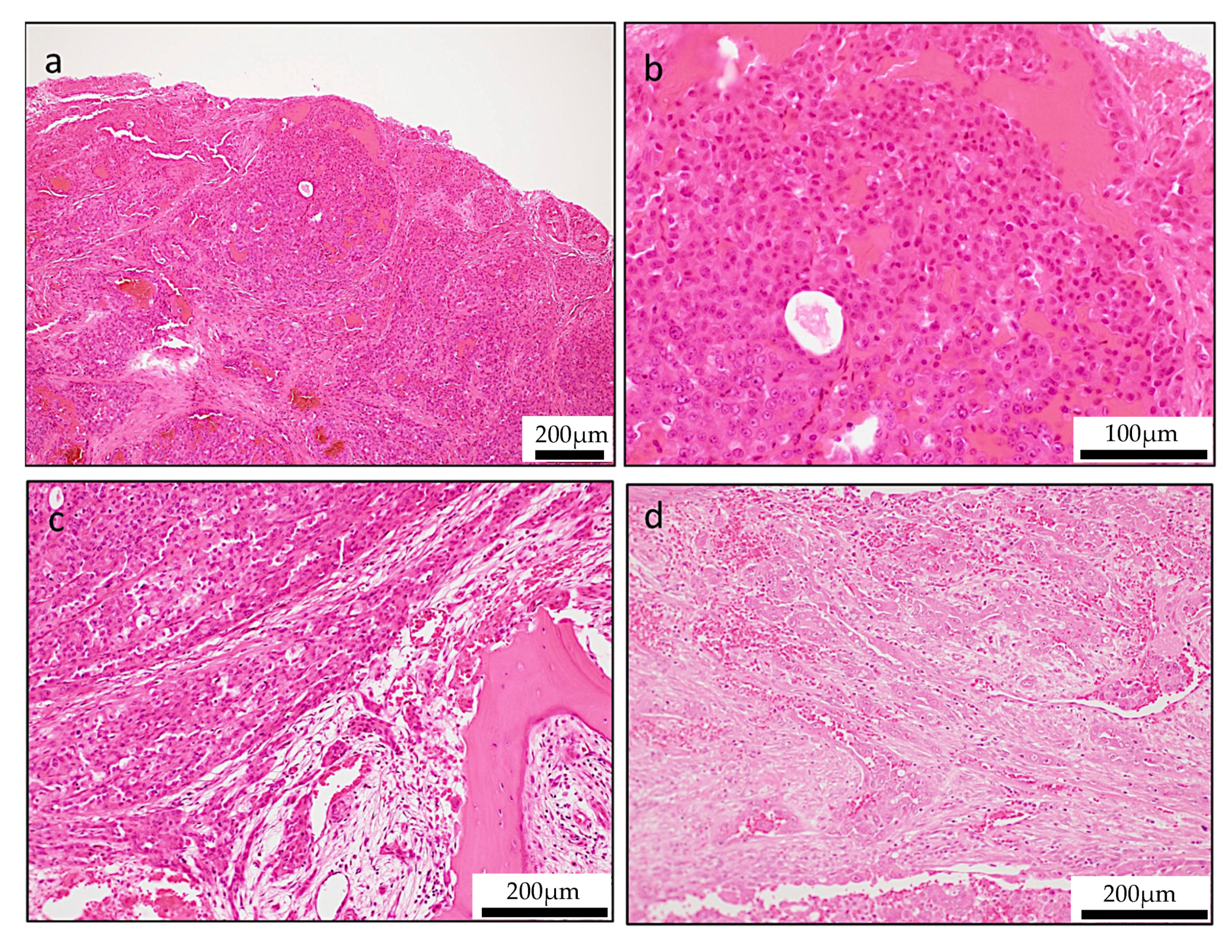 Reports 03 00006 g003 Reports 03 00006 g003