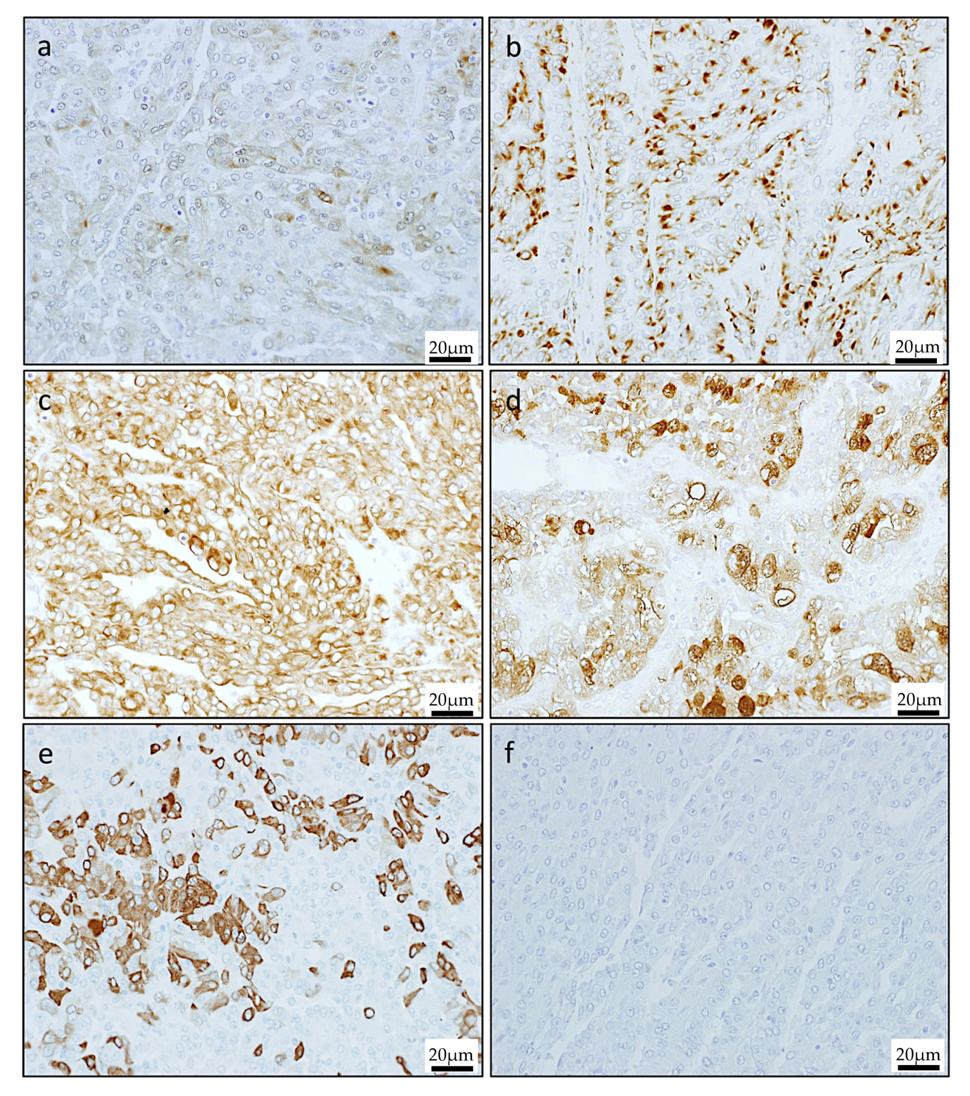 Reports 03 00006 g004 Reports 03 00006 g004