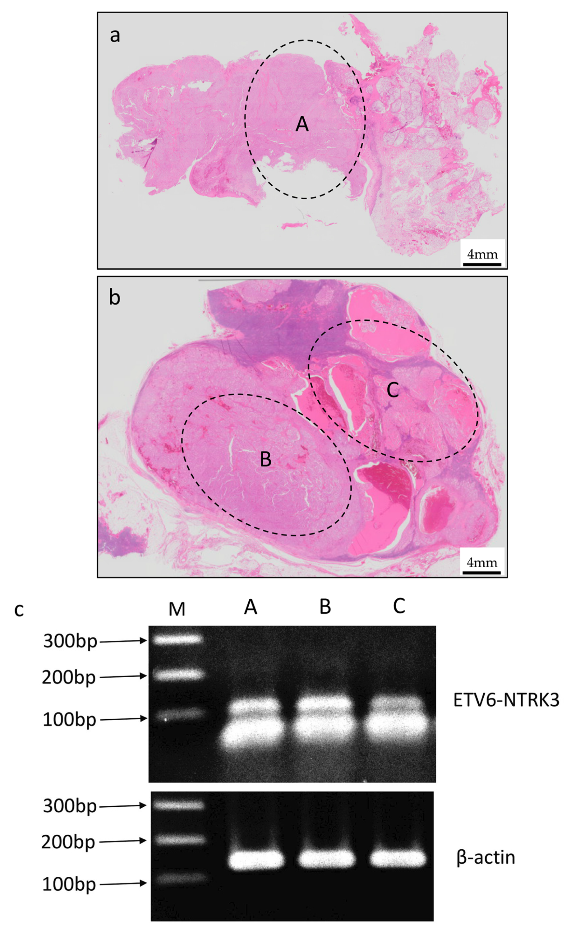Reports 03 00006 g007 Reports 03 00006 g007