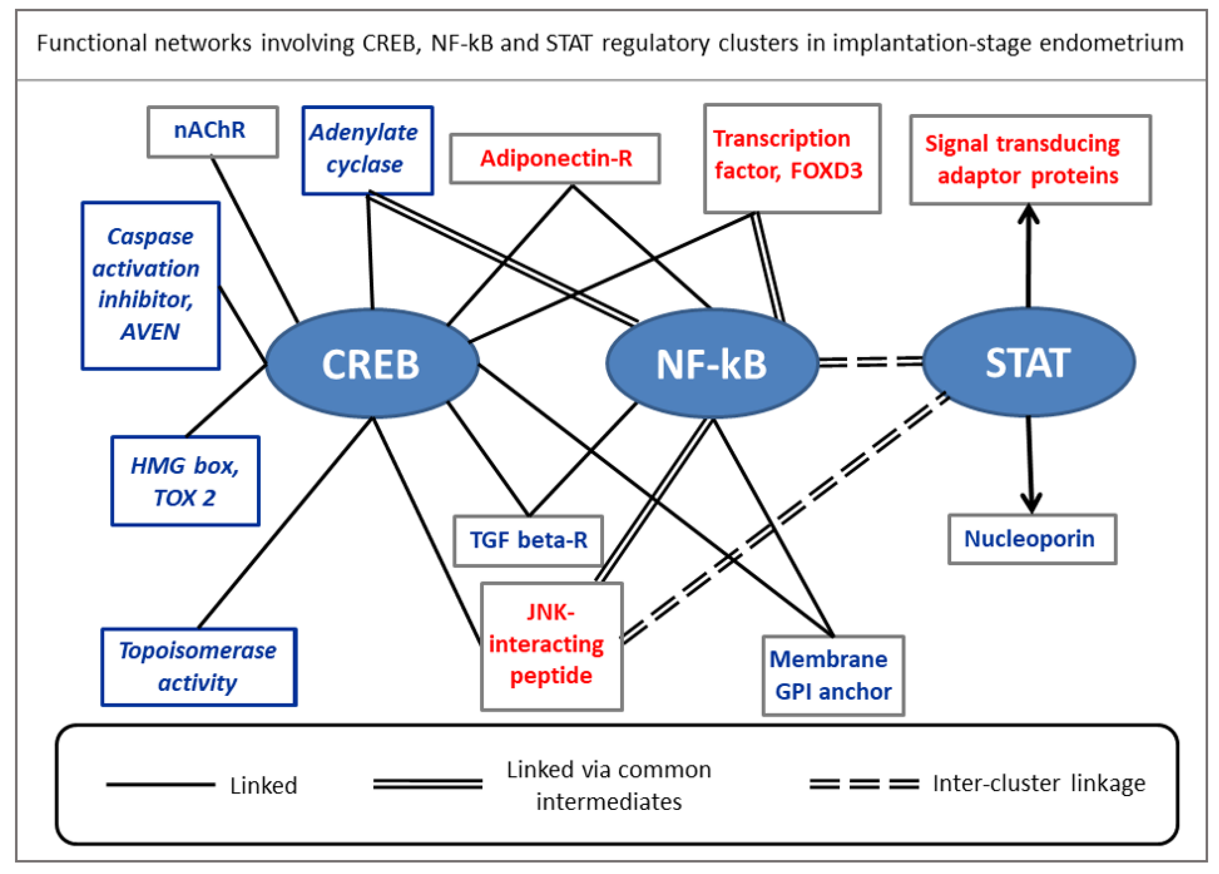 Reprodmed 03 00003 g006