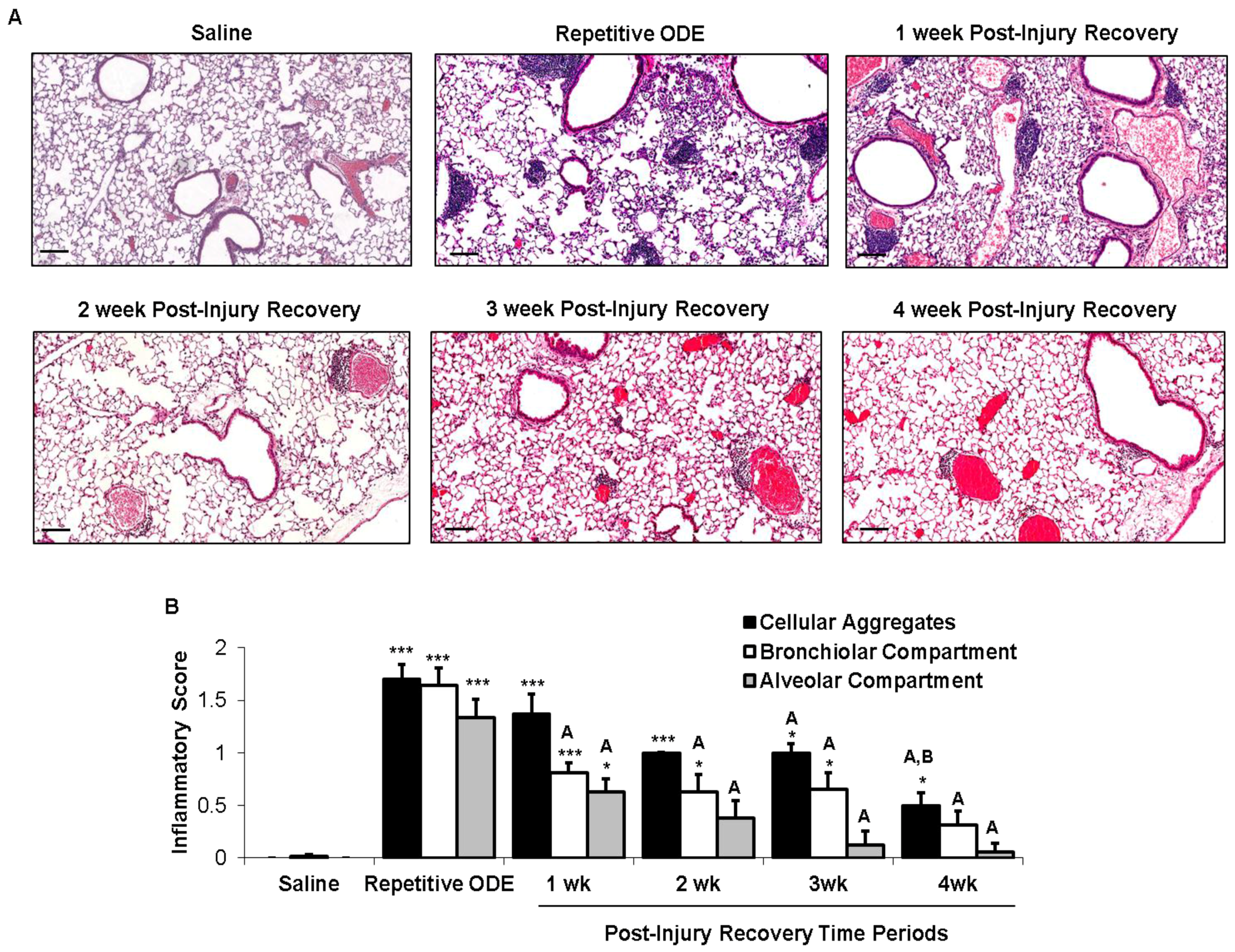 Safety 03 00010 g002