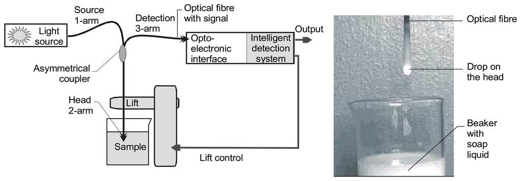Sensors 07 00384f1 1024