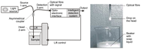 Sensors 07 00384f1 200