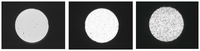 Sensors 07 00384f2 200