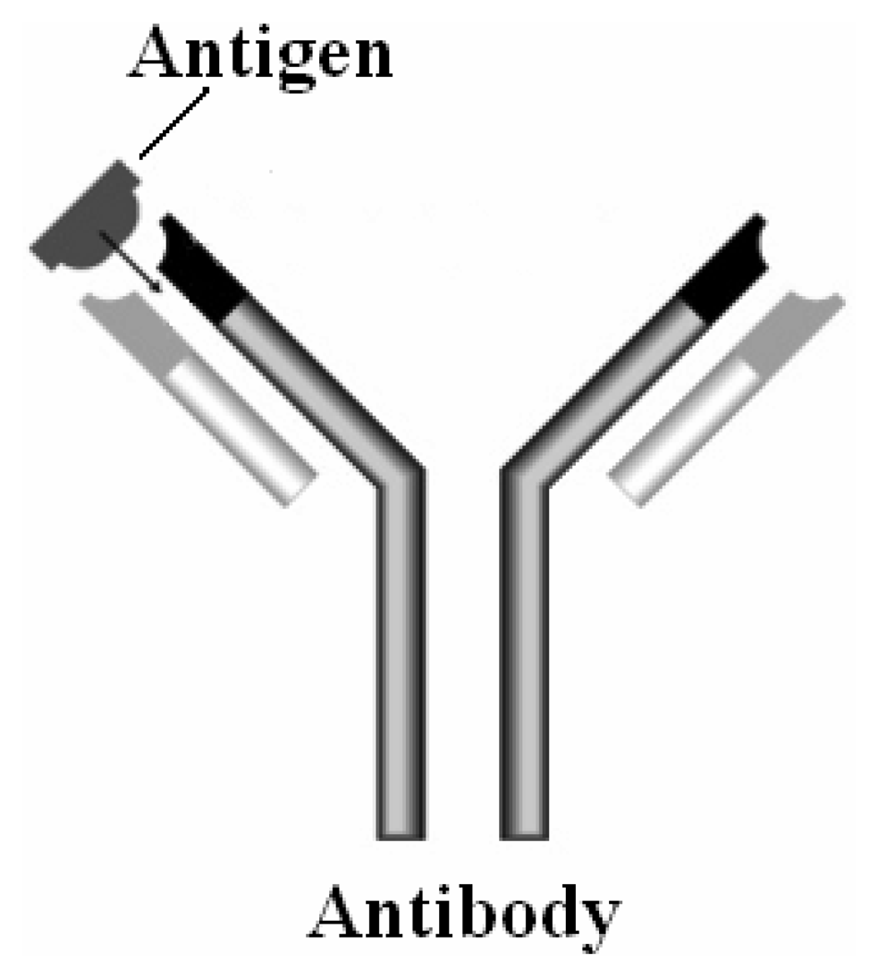Sensors 07 00508f2