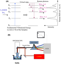 Sensors 07 01343f1 200