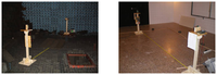 Sensors 07 02579f26 200