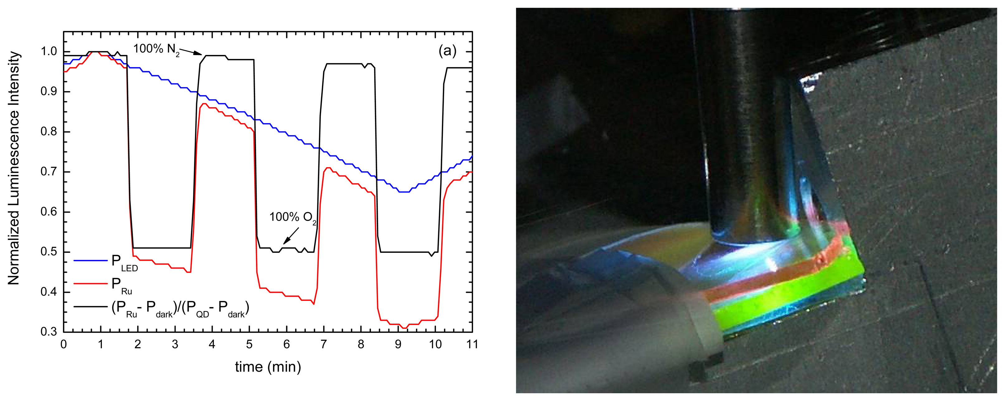 Sensors 07 03489f11