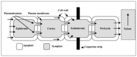 Sensors 08 00070f1 200