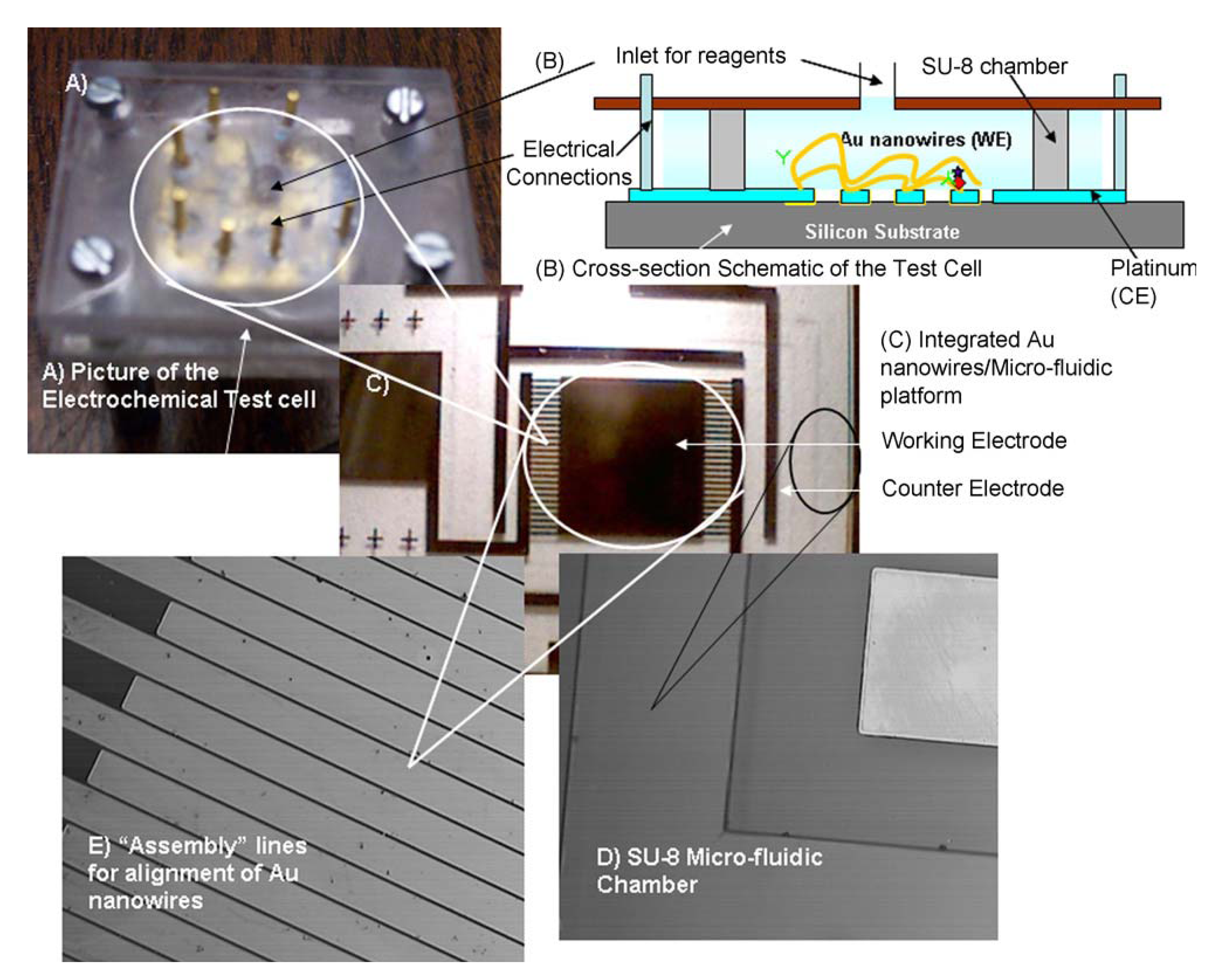 Sensors 08 00290f5