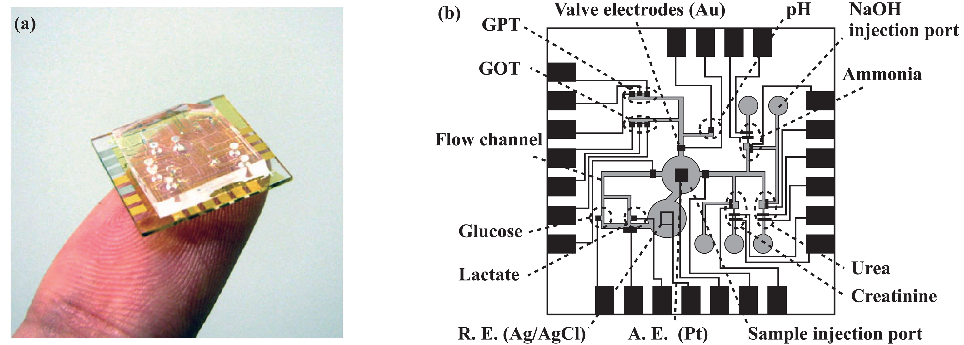 Sensors 08 01111f1