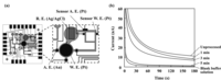 Sensors 08 01111f11 200