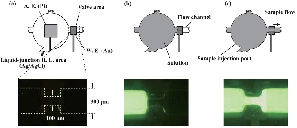 Sensors 08 01111f2 1024
