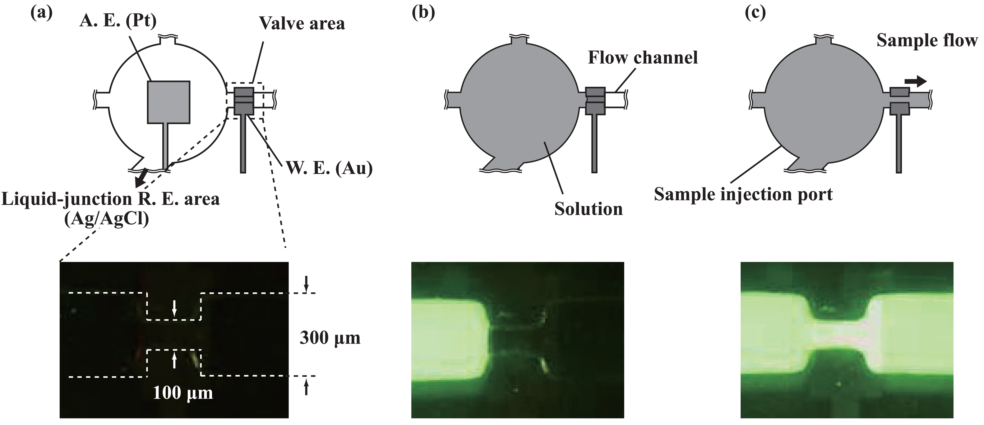 Sensors 08 01111f2